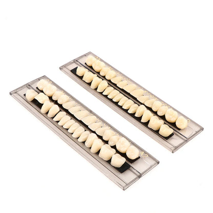 28 Teeth/set Resin Denture Teeth 3d Shade Guide Color Comparator Mirror Dentistry Cold Light Teeth White Bleaching Dental Plate