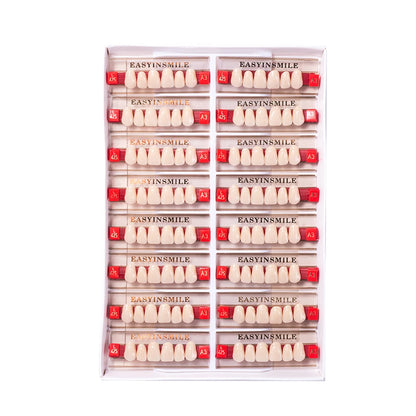 16/12 Sets/ Box Dental Teeth Anterior Posterior Polymer Denture acrylic Tooth A2 A3 2 Layers Dentistry Materials Education Model
