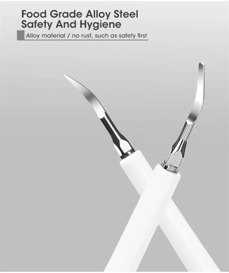 Electric Toothbrush Sonic Dental Teeth Whitening Kit Tooth Whitener Calculus Tartar Remover Tools Cleaner Stain Oral Care