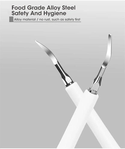 Electric Toothbrush Sonic Dental Teeth Whitening Kit Tooth Whitener Calculus Tartar Remover Tools Cleaner Stain Oral Care