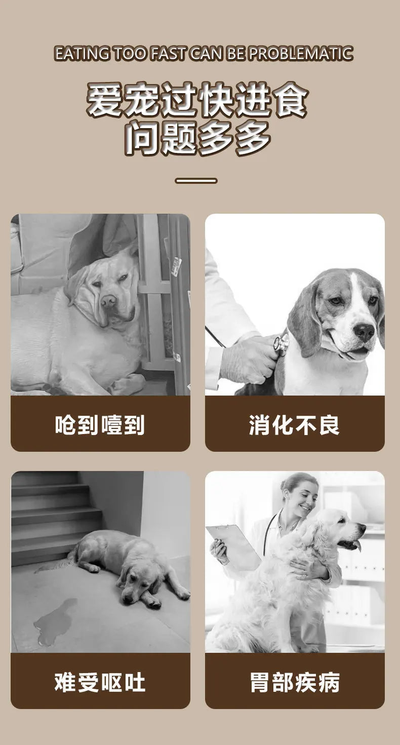 Anti-Slip Anti-Choking Slow Feeder Bowl for Large Dogs - Anti-Tip Pet Food Bowl for Golden Retriever