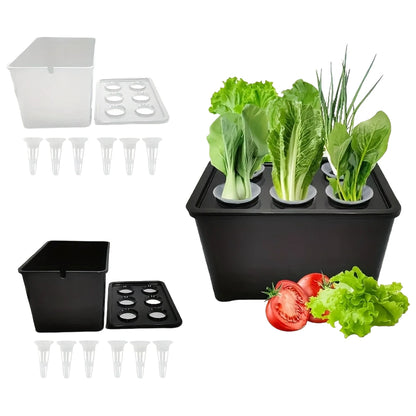 Hydroponic Growing Box with Lid and 6pcs Seedling Cups DIY Self Watering Indoor Hydroponics Tool for Plants Herb Garden Supplies