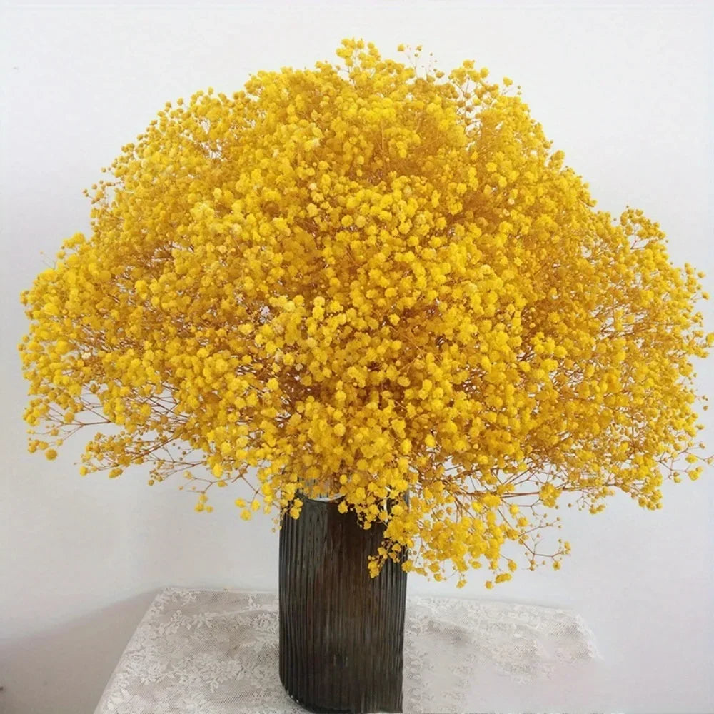 130g Natural Dried Preserved Flowers Babys Breath Home Decoration Natrual Gypsophila Wedding Decor Artificial Flower Photo Props