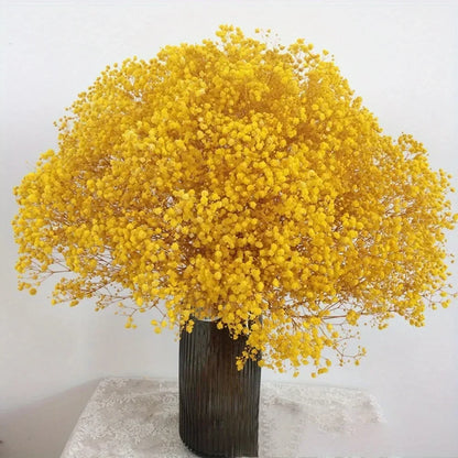 130g Natural Dried Preserved Flowers Babys Breath Home Decoration Natrual Gypsophila Wedding Decor Artificial Flower Photo Props