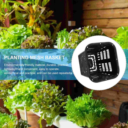 12 Pcs Hydroponic Basin Plant Grow Basket Container Garden Mesh Net Pot Plastic Root Fixing Holder Baskets Hydroponics