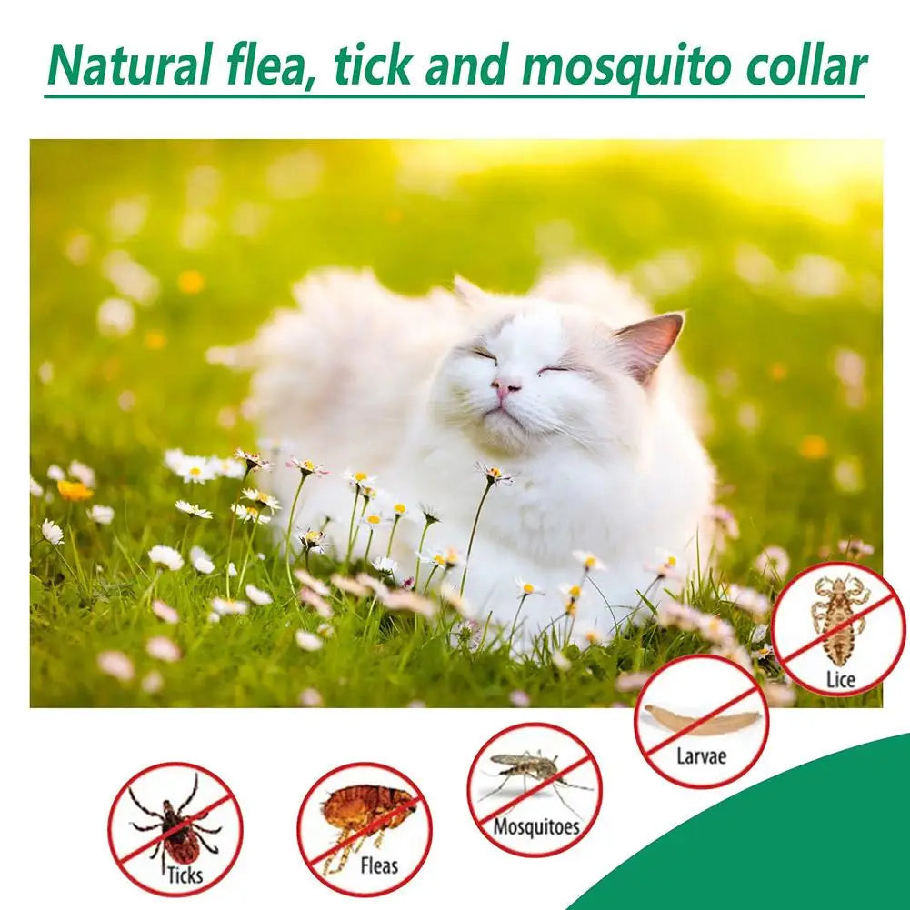 60ml Pet Pest Spray Pet Dog Anti-flea Mites Ticks Drops Kitten Pest Treatment Treatment Flea Puppy Kitten Puppy Spray M2n1