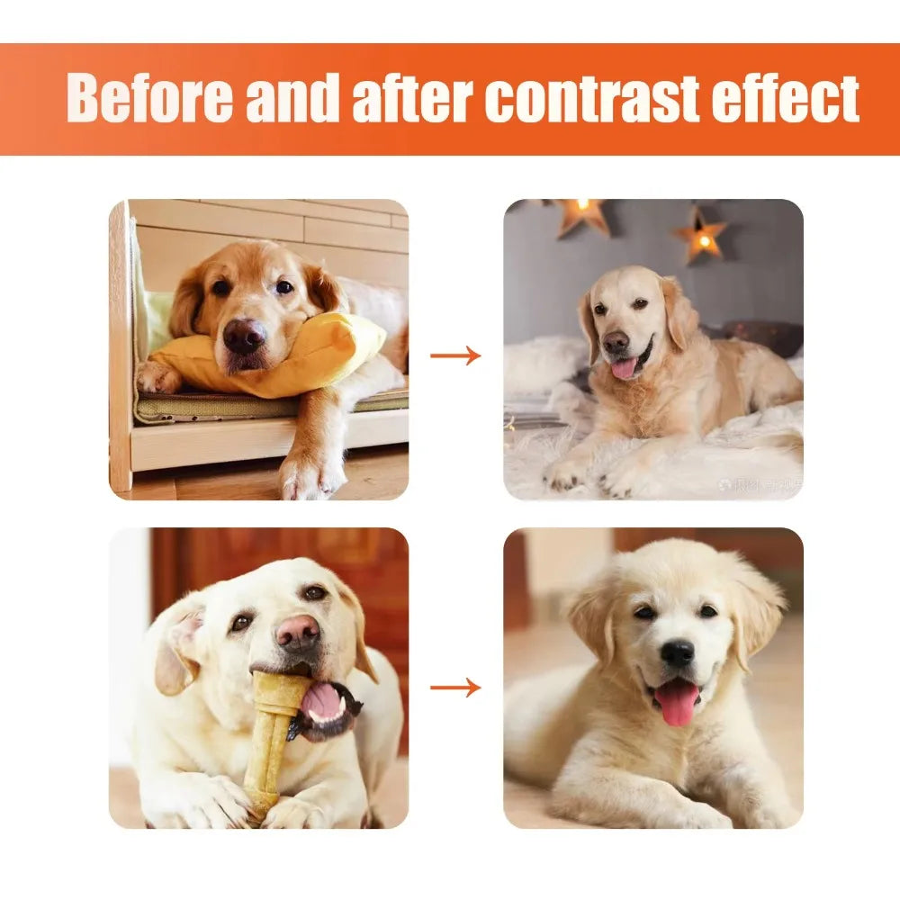 Premium Grooming Spray Dog Spray Deodorizer Perfume For Dogs - Dog Cologne Spray Long Lasting Dog Sprays - Dog Perfume Spray Lon