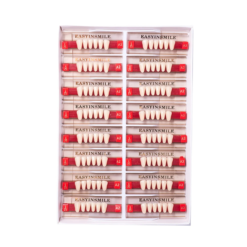 16/12 Sets/ Box Dental Teeth Anterior Posterior Polymer Denture acrylic Tooth A2 A3 2 Layers Dentistry Materials Education Model