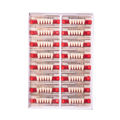 16/12 Sets/ Box Dental Teeth Anterior Posterior Polymer Denture acrylic Tooth A2 A3 2 Layers Dentistry Materials Education Model