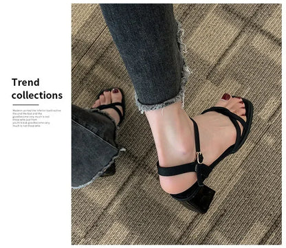 Sandals, 2025 Summer New Fashion Gentle Retro Chunky Non-slip Sandals, A Line with 5cm High Heels Summer Beach Sandals