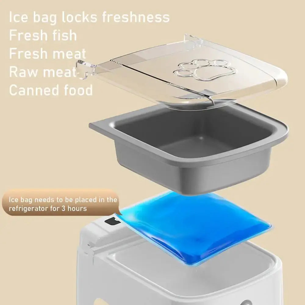 Smart Pet Feeder Automatic Pet Dispenser Sensor Timed Cat Feeding Dog Slow Food Dry and Wet Feeder Cat and Dog Bowl