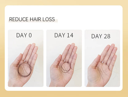 PURC 300ML Biotin Hair Shampoo Scalp Cleaning Nourishing Strengthen Roots Shampoos Hair Care Products for All Hair Types