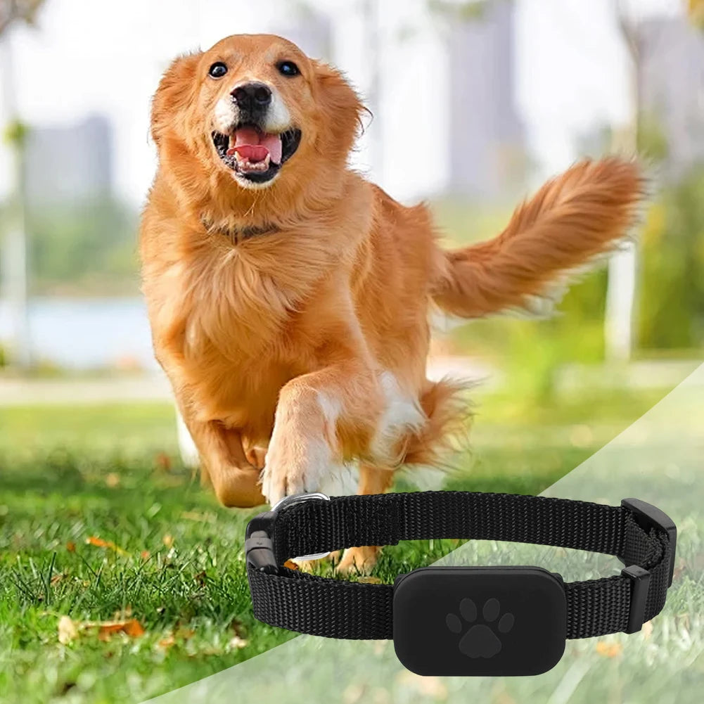 Waterproof Pet GPS Tracker Dog & Cat Locator with Adjustable Collar Anti Lost Dogs Tracker for iOS/Android Remote Global Locator
