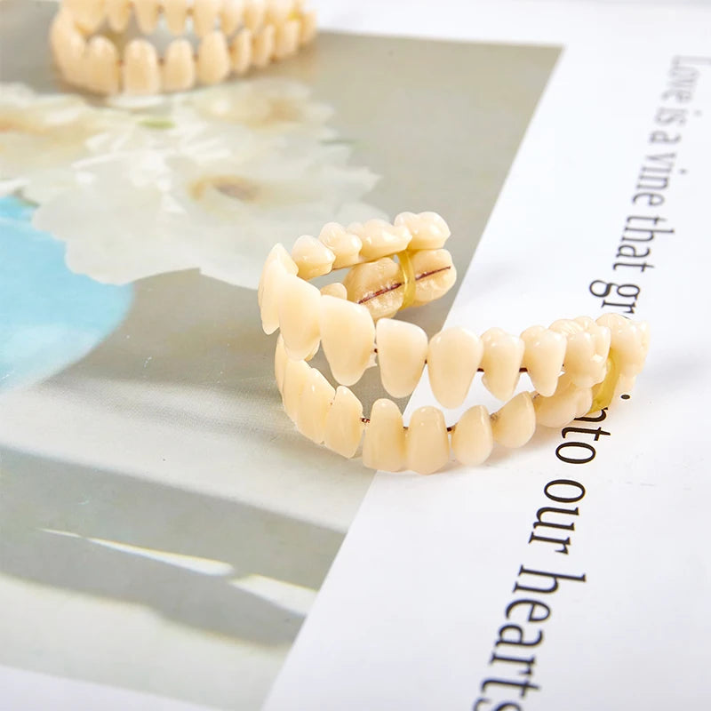3size Universal Resin False Teeth Resin Model Durable Dentures Dental Material Teeth Teaching Model Dedicated Teeth
