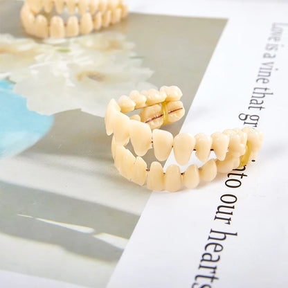 3size Universal Resin False Teeth Resin Model Durable Dentures Dental Material Teeth Teaching Model Dedicated Teeth