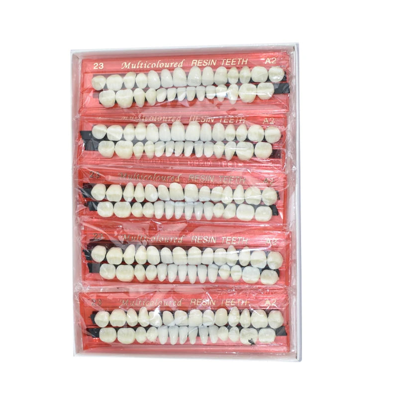 Dental Resin Denture 28Teeth Set with 3D Shade Guide Color Comparator Mirror for Bleaching and Dentistry Training
