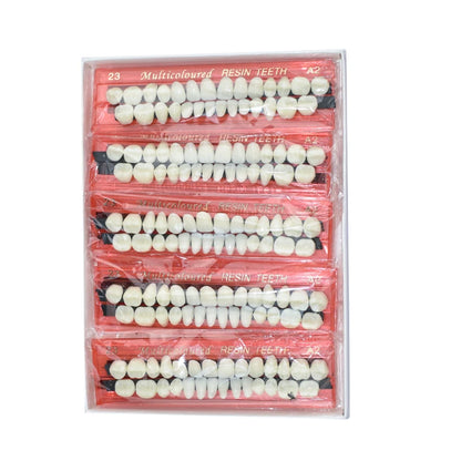 Dental Resin Denture 28Teeth Set with 3D Shade Guide Color Comparator Mirror for Bleaching and Dentistry Training