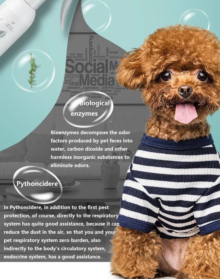 Natural Scented Pet Spray, Fresh Dog, Cat Body Perfume, Scent Deodorant, Remove Odor, Deodorant, Safety, 500ml