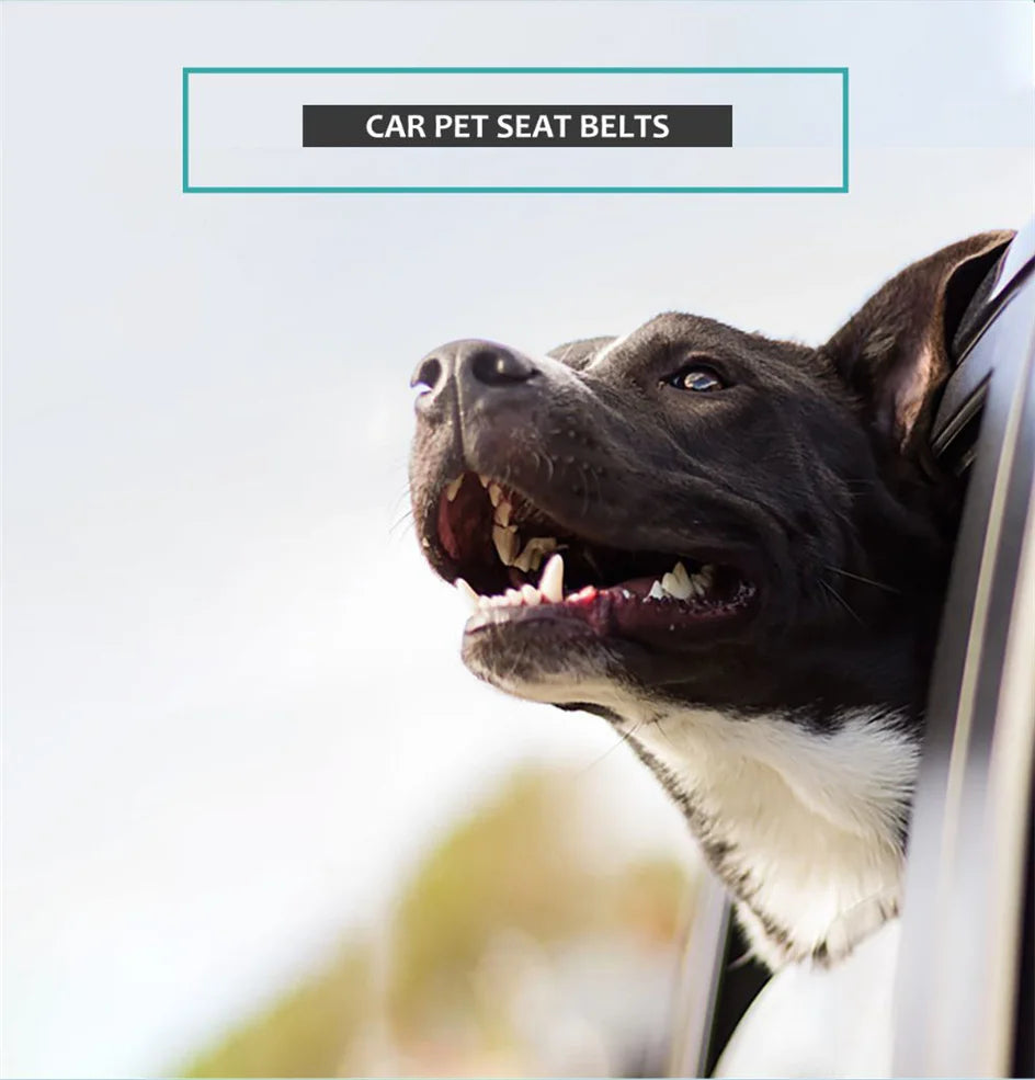 Dog Seat Belt 1-to-2 Extend Rope 54-90CM Elasticity Pet Safety Nylon Dog Leash with Car Seat Buckle Dog Accessories Olive Khaki