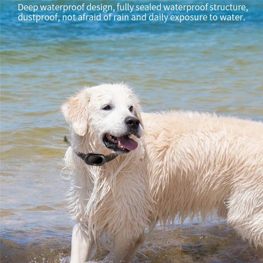 AAAEL-4G GPS Pet Tracker Voice Monitor Pet Dog Cats Gps Anti Loss Mini Tracker IP67 Waterproof GPS Locator Free APP