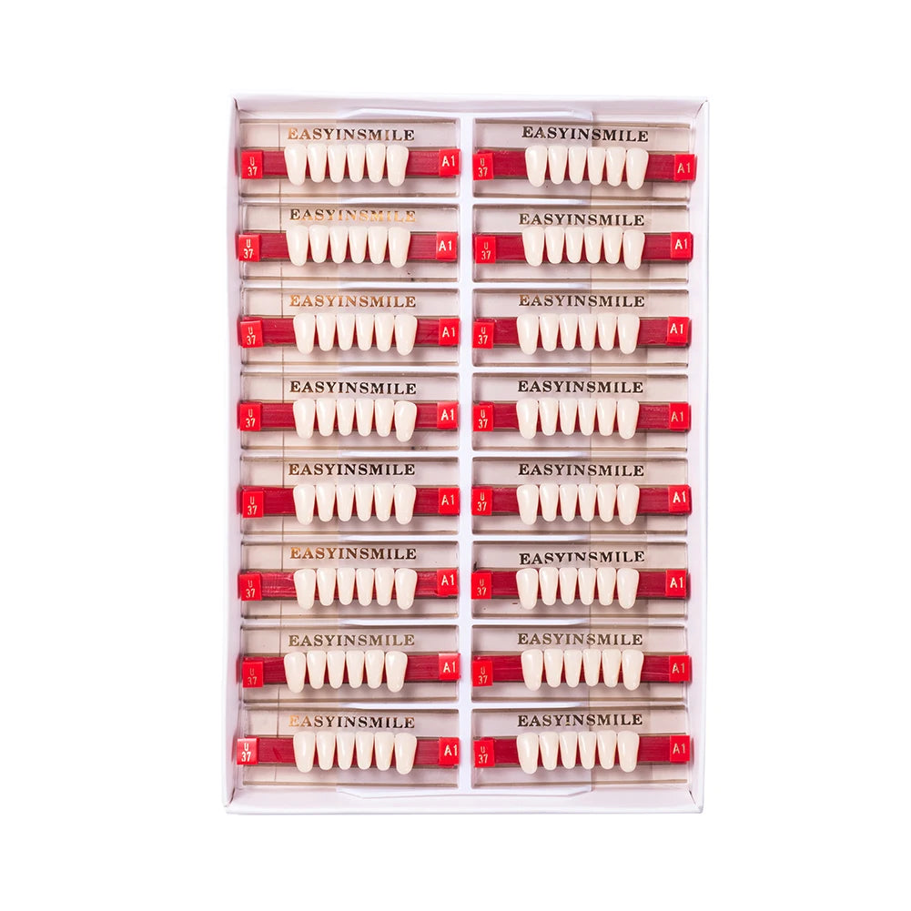 16/12 Sets/ Box Dental Teeth Anterior Posterior Polymer Denture acrylic Tooth A2 A3 2 Layers Dentistry Materials Education Model