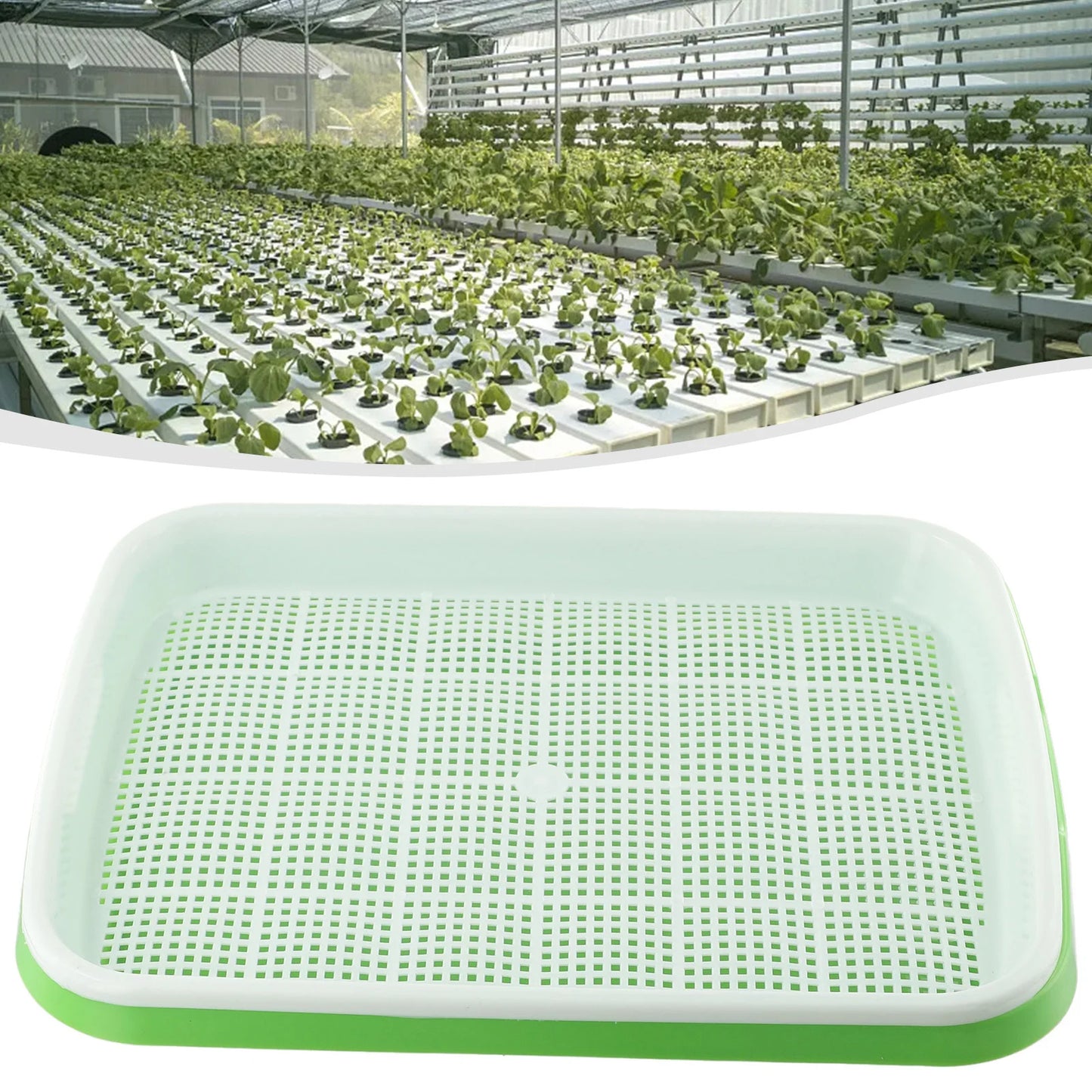 Microgreens Sprouter Tray Hydroponic / Sprouting Tray For Sprouts Vegetable Horticultural Garden DIY Nursery Potted