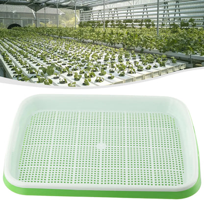 Microgreens Sprouter Tray Hydroponic / Sprouting Tray For Sprouts Vegetable Horticultural Garden DIY Nursery Potted