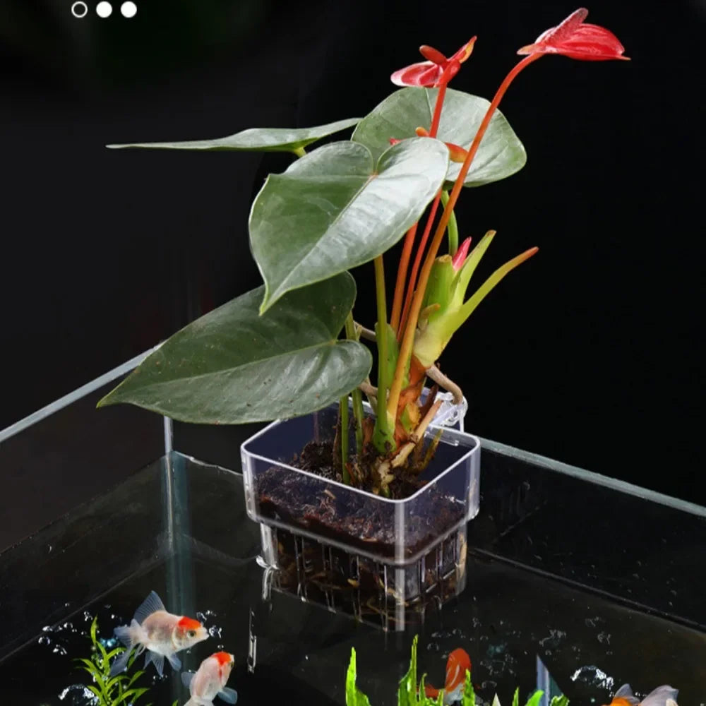 Fish Aquarium Water Grass Cup Multiple Plant Hydroponics Hydroponic Planting Basket For Fish Tank Landscape Home Garden