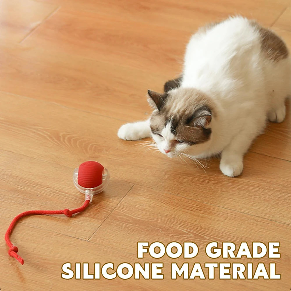 Interactive Cat Ball Toys Active Rolling Ball for Cats Smart Interactive Cat Toys Electric Cat Toy Ball Rechargeable Pet Toys
