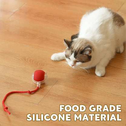 Interactive Cat Ball Toys Active Rolling Ball for Cats Smart Interactive Cat Toys Electric Cat Toy Ball Rechargeable Pet Toys