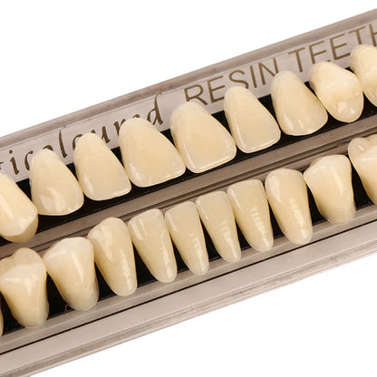 28 Teeth/set Resin Denture Teeth 3d Shade Guide Color Comparator Mirror Dentistry Cold Light Teeth White Bleaching Dental Plate