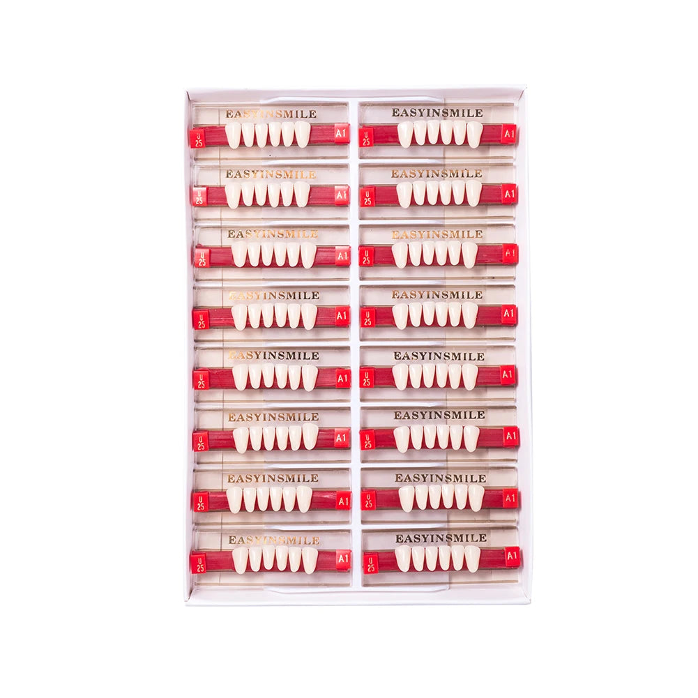16/12 Sets/ Box Dental Teeth Anterior Posterior Polymer Denture acrylic Tooth A2 A3 2 Layers Dentistry Materials Education Model
