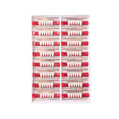 16/12 Sets/ Box Dental Teeth Anterior Posterior Polymer Denture acrylic Tooth A2 A3 2 Layers Dentistry Materials Education Model