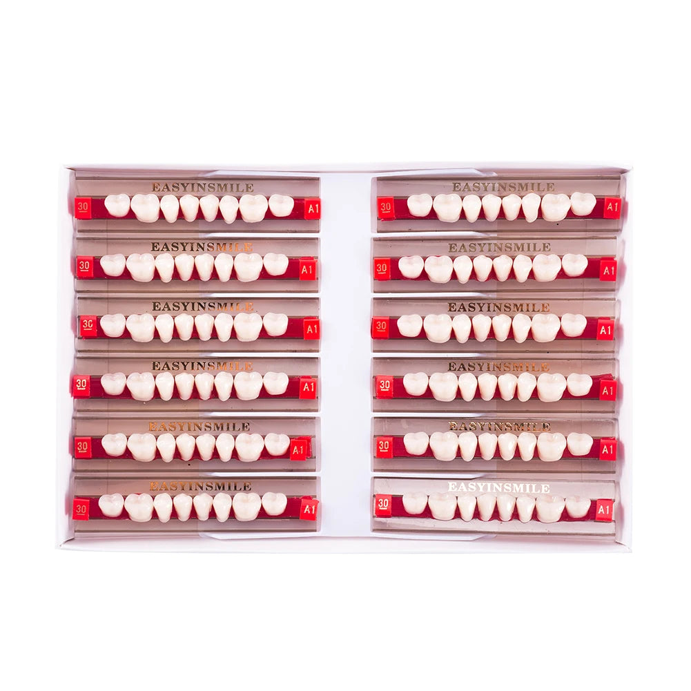 16/12 Sets/ Box Dental Teeth Anterior Posterior Polymer Denture acrylic Tooth A2 A3 2 Layers Dentistry Materials Education Model