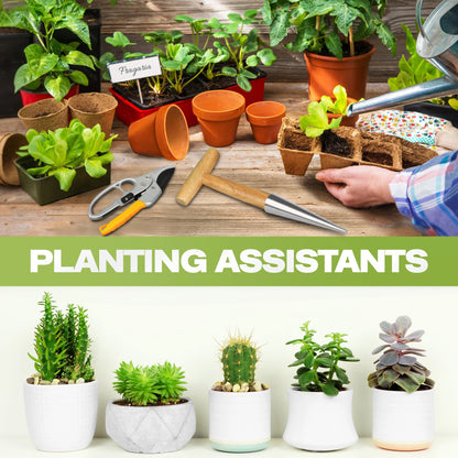 Gardening Hole Puncher Wooden Handle T-shaped Fertilizer Planting Tool Punching Sower Garden Flower Plants Supplies Accessories