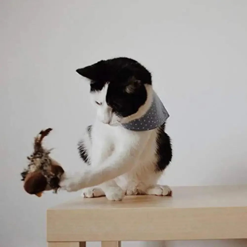 Interactive Cat Toys Electric Squeaky Simulation Bird Plush Cats Pets Teasing Toys with Feather Catnip Kitten Chirping Bird