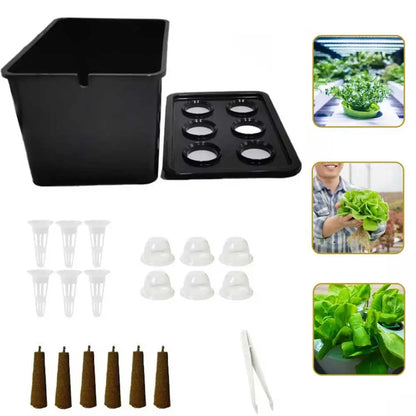 hydroponic seedling starter kit, indoor soilless vegetable and herb growing system, perfect for balcony gardening
