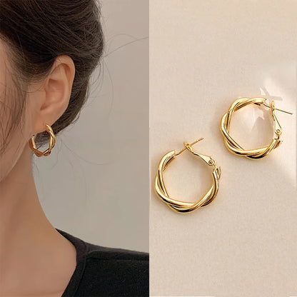 Needle Korean Twist Ear Ring Simple Earrings OL Commuter Exquisite Elegant Earrings All-match Earrings