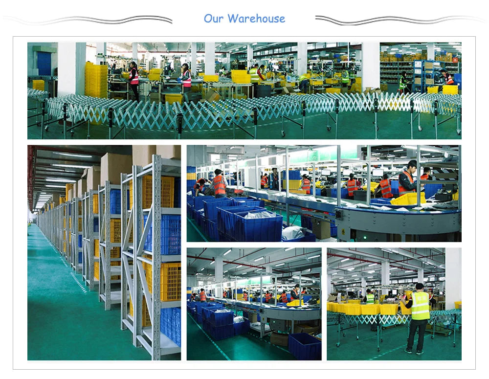 Cuttlefish Bone Natural Parrot Calcium Supplements Bird Food Pick Stone Molars Chewing Toy for Cockatiel Parakeet Parrot