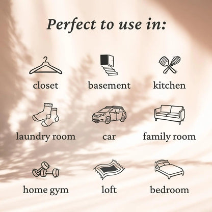 Carpet Deodorizing Powder Powerful Pet Smell Eliminator & Urine Odor Dust Remover Refresher for Home Carpet Cleaning Accessories