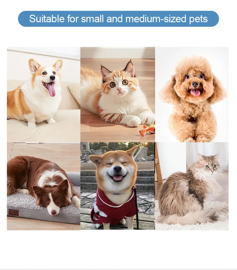 Automatic Pet Foot Washer Removable Electric Plastic Paw Cleaner Soft and Dense Bristles for Cleaning Cat Dog Paw Cleaner