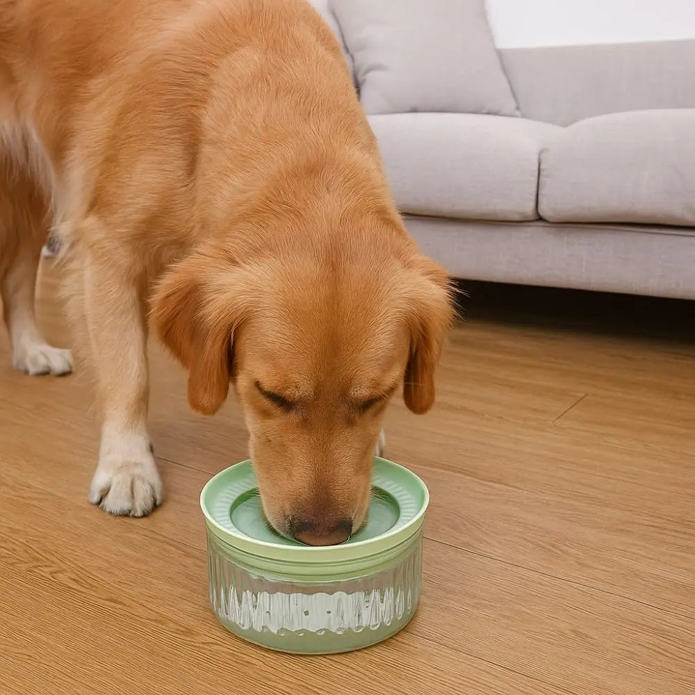 Large Capacity Pet Water Bowl Detachable Anti Splash Dog Floating Bowl Anti-tipping Anti Wetting Mouth Automatic Dog Bowl Travel