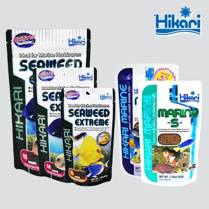 Seawater Feed Fish Food Seawater Fish Food Hikarii Vegetarian Sponge Intestinal Probiotics Seawater Fish Food