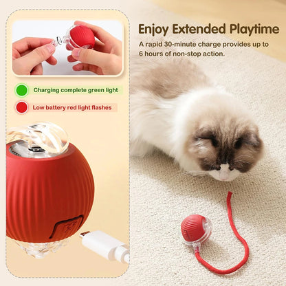 Interactive Cat Ball Toys Active Rolling Ball for Cats Smart Interactive Cat Toys Electric Cat Toy Ball Rechargeable Pet Toys