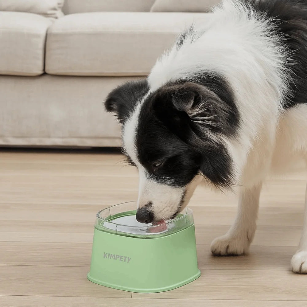 Non-Wetting Mouth Pet Floating Bowl Spill Proof Anti-Tip Pet Water Bowl Large Capacity 2000ML Dogs Slow Drinking Bowl Multi-Pet