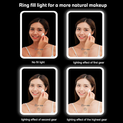 8L Mini Skincare Fridge with LED Mirror - 3-in-1 Portable Cooler & Warmer for Makeup, Face Masks, Perfumes (Home/Office/Car