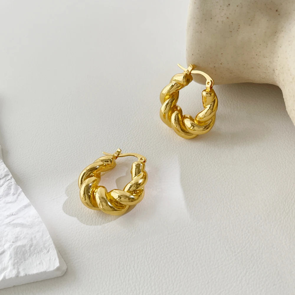 Peri'sBox Trendy Minimalist Twisted Hoop Earring for Women Gold/Silver Color Zinc Alloy Huggie Earrings бижутерия женщин Gifts