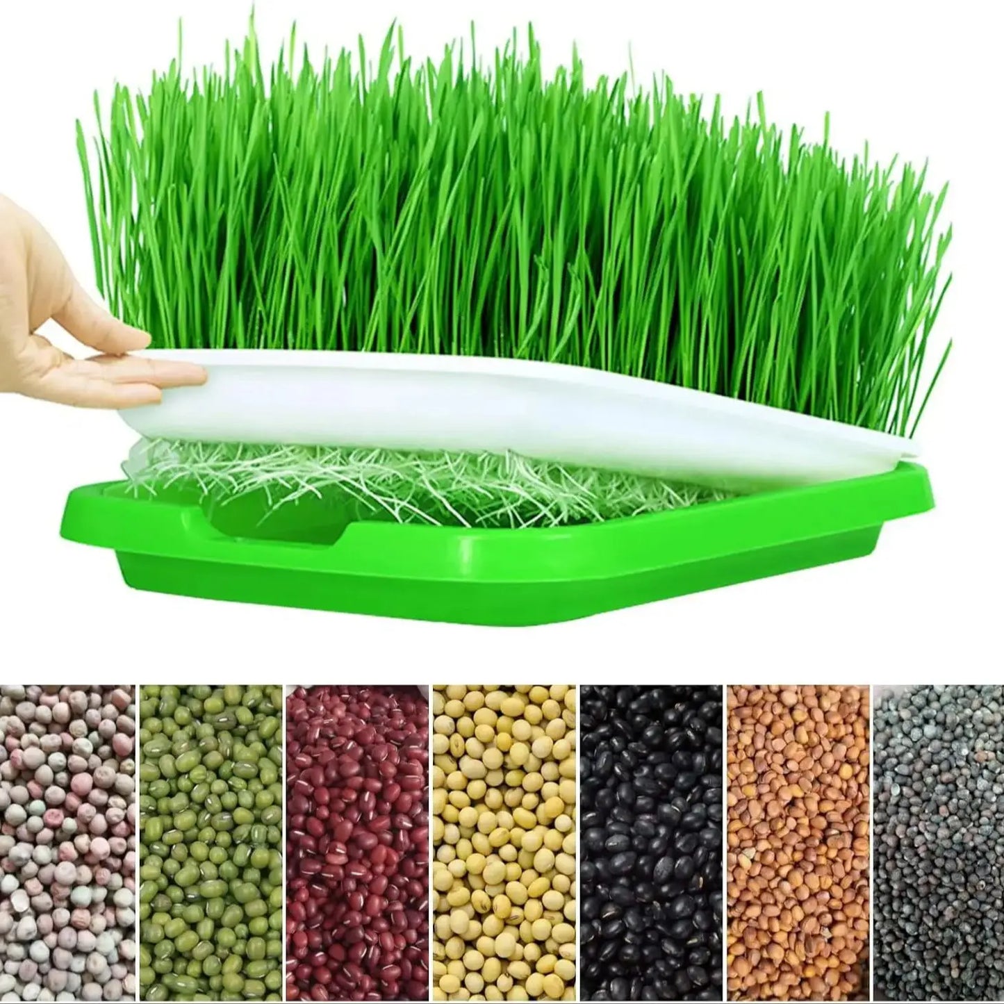 Microgreens Sprouter Tray Hydroponic / Sprouting Tray For Sprout Horticultural Hydroponic Systems Tray Garden Nursery Potted Mic