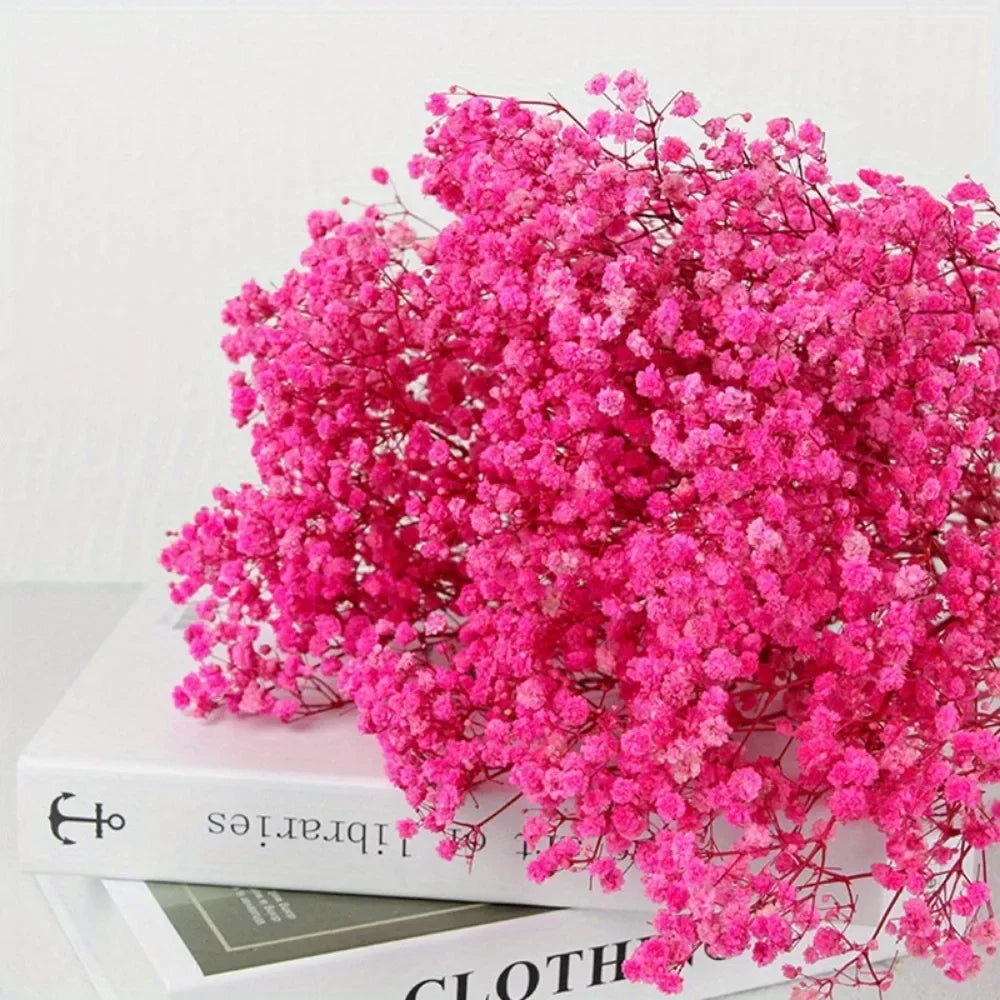 130g Natural Dried Preserved Flowers Babys Breath Home Decoration Natrual Gypsophila Wedding Decor Artificial Flower Photo Props
