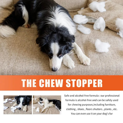 Premium Grooming Spray Dog Spray Deodorizer Perfume For Dogs - Dog Cologne Spray Long Lasting Dog Sprays - Dog Perfume Spray Lon